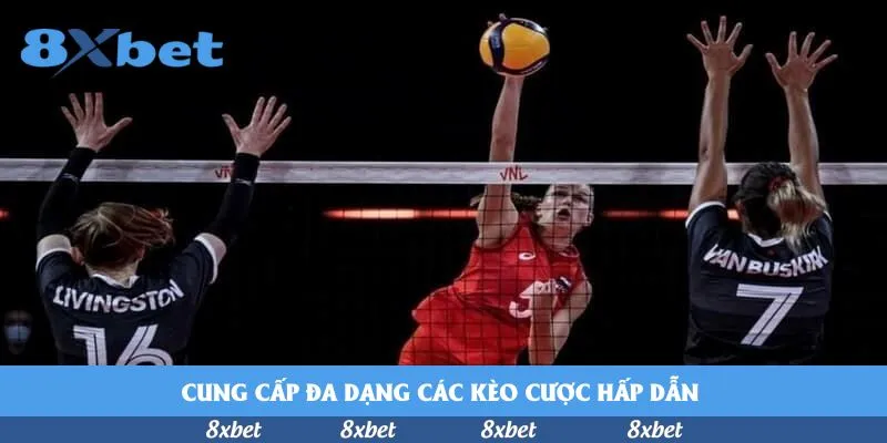 Cung cấp đa dạng các kèo cược hấp dẫn 